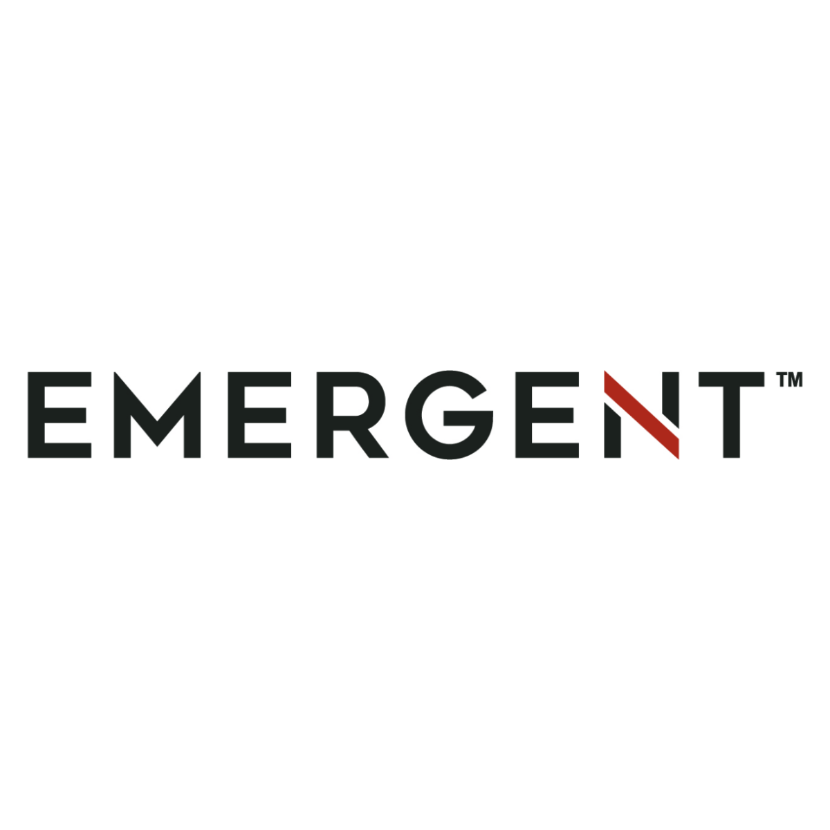 Emergent Logo Gray + Carmine TM